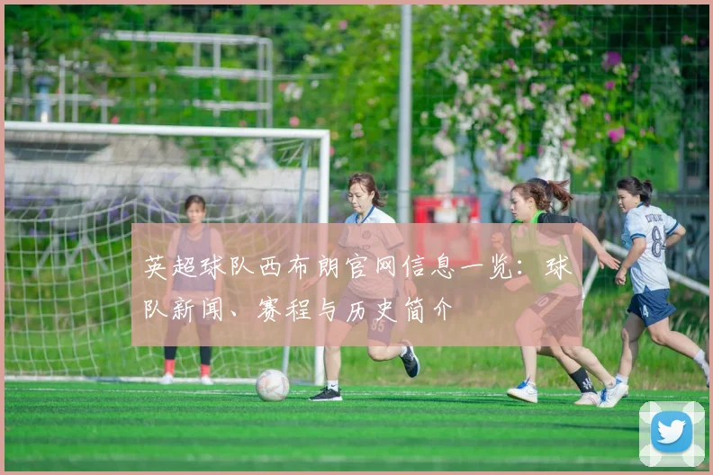 英超球队西布朗官网信息一览：球队新闻、赛程与历史简介