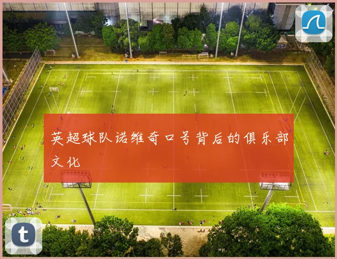 英超球队诺维奇口号背后的俱乐部文化