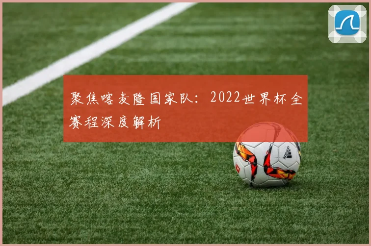 聚焦喀麦隆国家队：2022世界杯全赛程深度解析